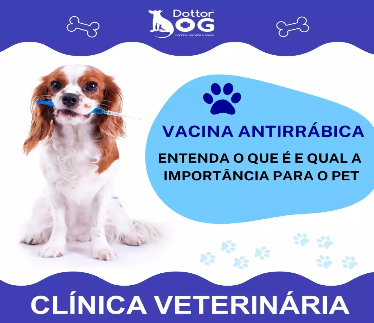 ENTENDA A IMPORTÂNCIA DA VACINA ANTIRRÁBICA PARA O SEU PET